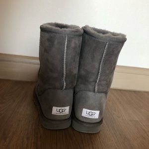 Grey Classic Uggs